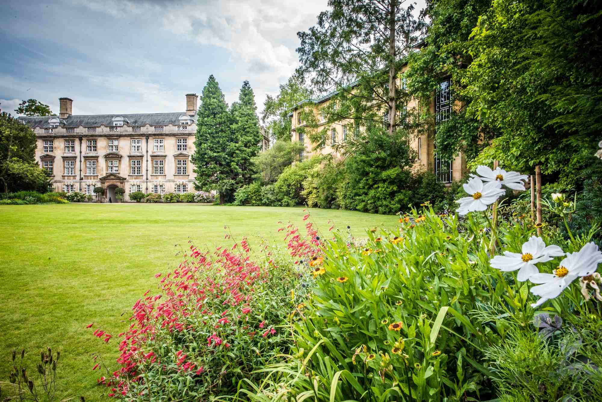 Read more about the article Conference locations in Cambridge – 9 reasons to choose Christ’s College