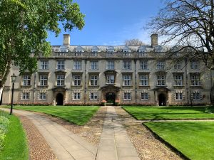 Second Court at Christs College, Cambridge with Tulips in the borders. In the Summer vegetables will be planted in line with our sustainability policy.