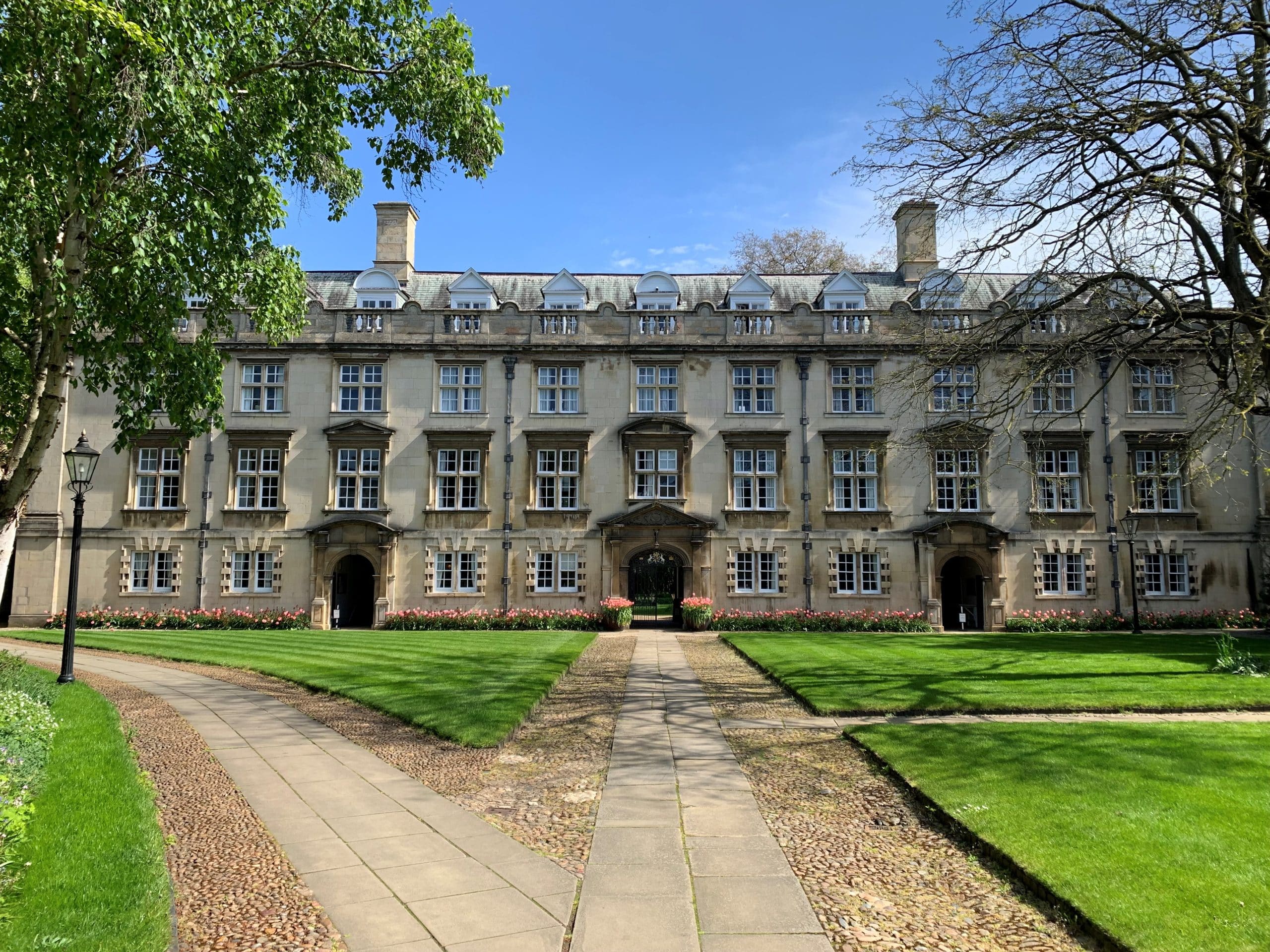 Read more about the article Sustainability at Christ’s College 