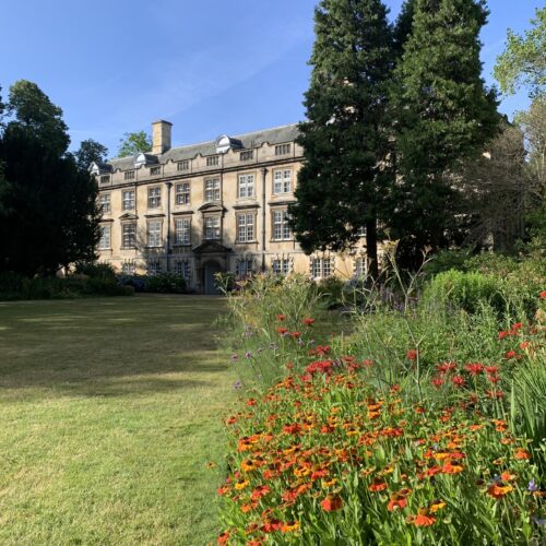 Fellows’ Garden at Christ’s College, Cambridge, featuring vibrant orange flowers among green planting in a peaceful, landscaped setting