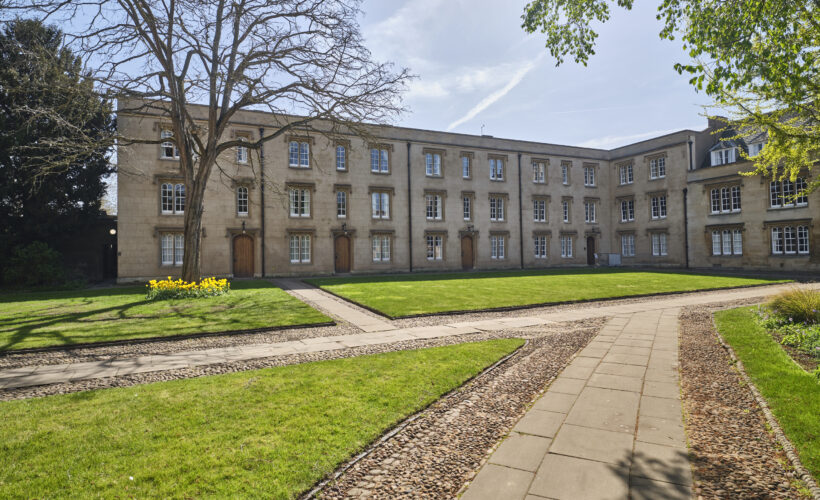 Second Court in the sunshine featuring a tree surrounded by daffodils.